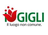 Centro Commerciale I Gigli - Firenze